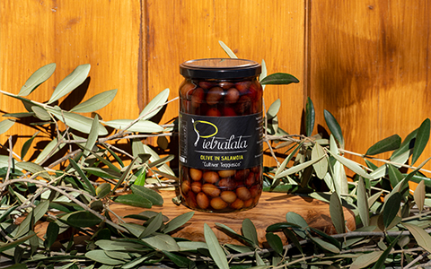 OLIVE TAGGIASCHE IN SALAMOIA